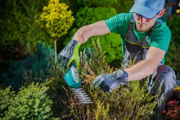 landscaping services Fordland